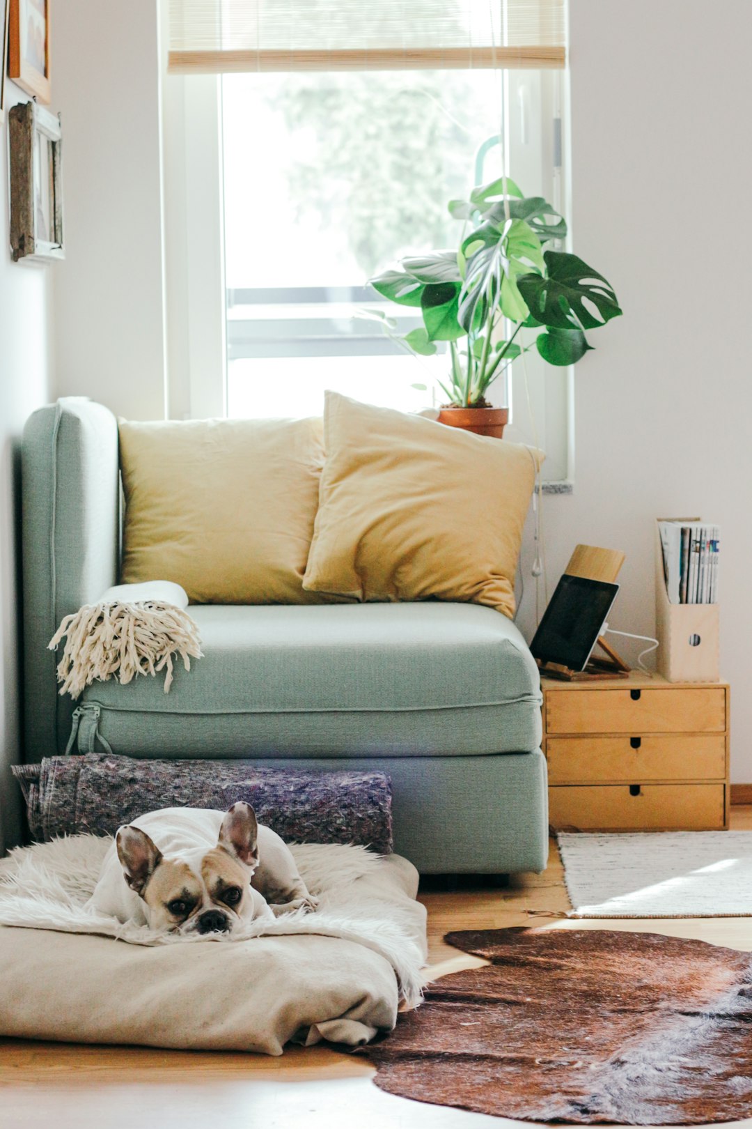 What is the new home warranty in NJ?