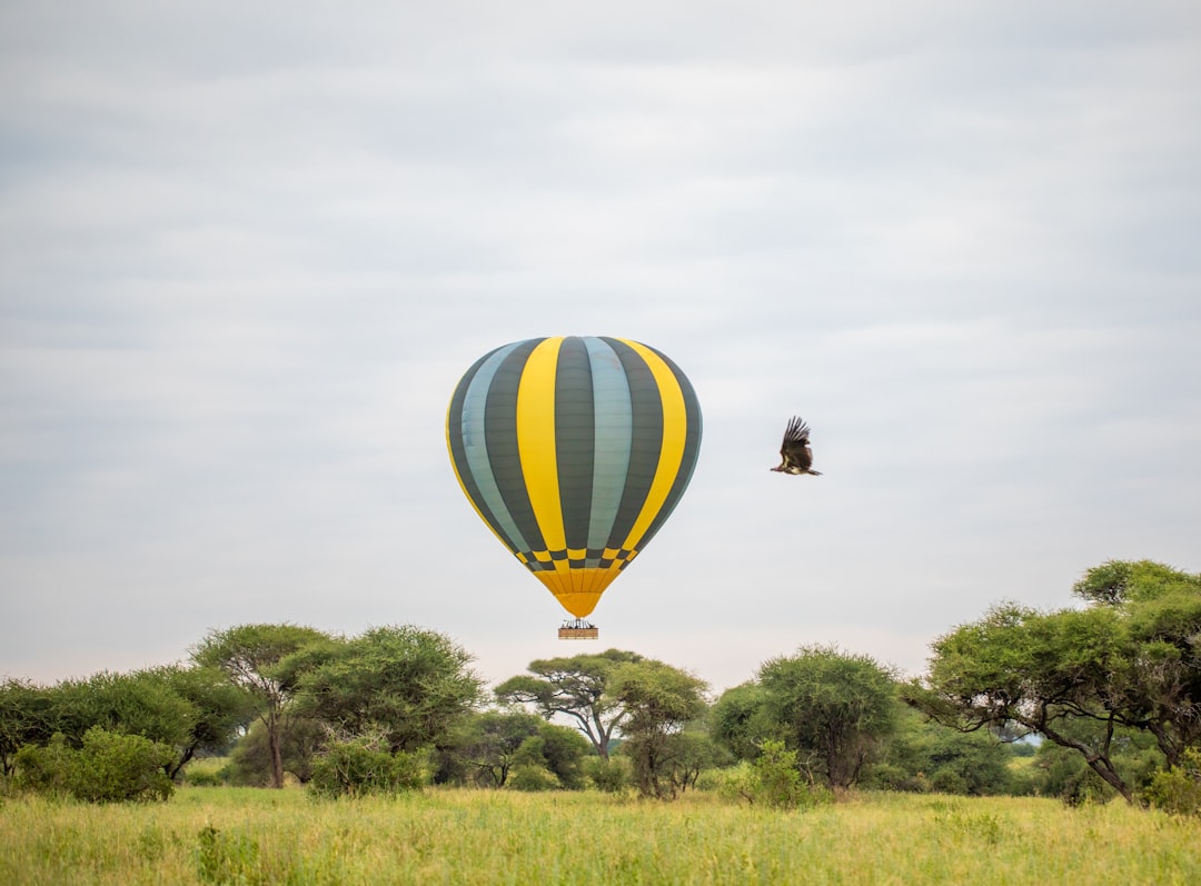 How To Plan A Tailor-Made Safari Adventure In Africa With Insider Tips And Best Routes